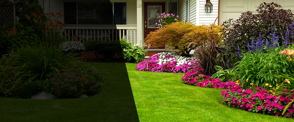 Silver City Landscapers
